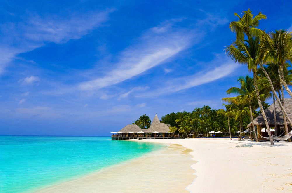 strand-mit-palmen